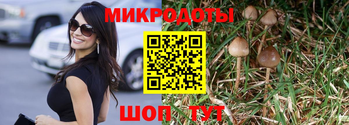 Псилоцибиновые грибы GOLDEN TEACHER Советск